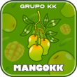 Logo da MANGOKK